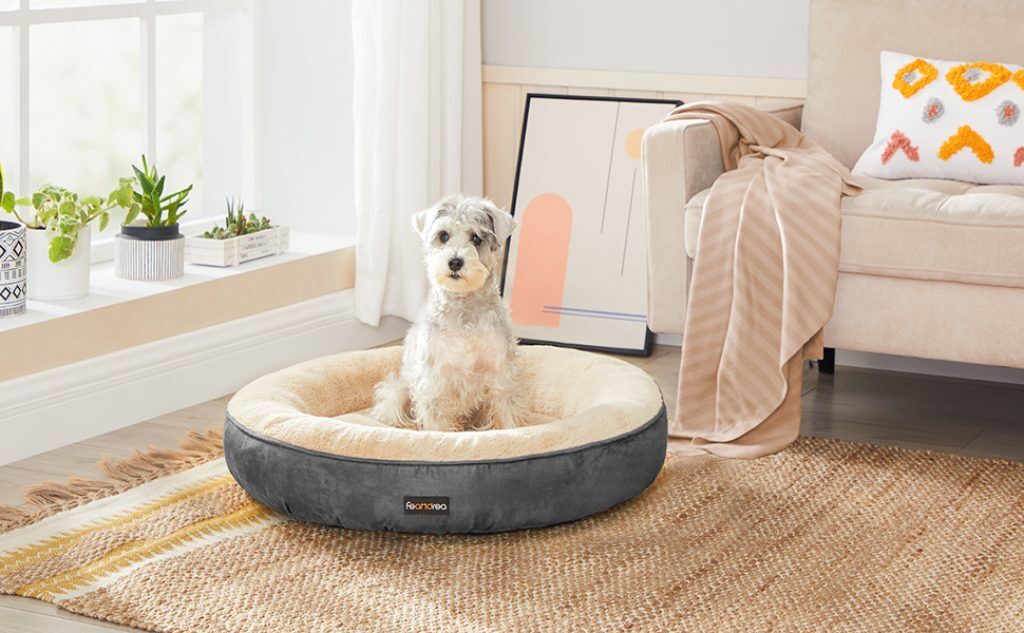 кревет за кучиња